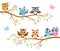 Owls on a branch. Colorful cute friends owls sitting on branches, joyful forest birds, pattern kids print, cartoon