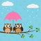 Owls couple under umbrella