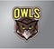 Owls logo design creative art