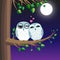 Owls Love