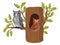 Owls in tree hollow. Cartoon wild forest owl birds sitting in woods house, wildlife birds oak nests flat vector illustration on