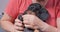 Owner brought dog to veterinarian gently soothes him kisses massages the sore paw