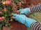 Owner caring for her flowers in Ornamental Garden