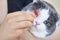 The owner cleans the cat`s eyes and nose with a cotton swab