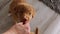 Owner Feeding Cute Little Puppies Toller Retriever Dog Breed