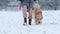 Owner Girl Walking With Her Golden Retriever Dog On A Snow Field