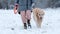 Owner Girl Walking With Her Golden Retriever Dog On A Snow Field