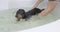 Owner helps swim dachshund puppy in bath at rehab procedure