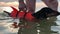 Owner holds a dachshund  dog in orange life jacket, during training at sea. Dog training for back health