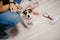 Owner keeps jack russell terrier dog on leash indoors veterinary canine