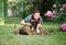 Owner laying on a meadow with cute brown Boxer Dogs