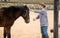 Owner man washing and brushing a horse in the backyard of farm