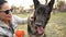 Owner plays with a German Shepherd in the park. Dog gives a paw to the woman and receives the ball. Dog Training Concept