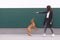 owner plays with the puppies against the background of the wall. Dog games against the background of the walls