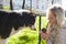 Owner plays with a siberian laika dog in autumn park