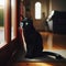 Owner\\\'s pet waits patiently for their return at front door