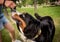 Owner trains the Berner Sennenhund dog at the park.