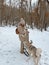 Owner with two malamute dogs walking on the snow