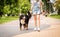 Owner walking with the Berner Sennenhund dog at the park.