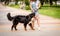 Owner walking with the Berner Sennenhund dog at the park.