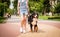 Owner walking with the Berner Sennenhund dog at the park.