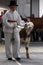 The owners show their cattle to the jury at the fair in Bjelovar, Croatia