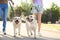 Owners walking labrador retrievers outdoors on sunny day