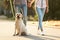 Owners walking their labrador retriever outdoors