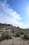 Owyhee Canyonlands Wilderness near Shoofly Oolite rock formation vertical