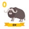 Ox. O letter. Cute children animal alphabet in vector. Funny car