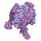 OX40-OX40L complex (extracellular domains). OX40 is also known as tumor necrosis factor superfamily member 4 (TNFRSF4) or CD134.