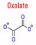 Oxalate anion, chemical structure. Oxalate salts can form kidney stones. Skeletal formula.