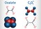 Oxalate anion, ethanedioate molecule.  Structural chemical formula and molecule model