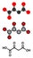 Oxaloacetic acid (oxaloacetate) metabolic intermediate molecule