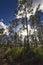 Oxbow eco-center, Fort Pierce, Florida