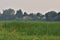 Oxbow lake and the floodplain by the river on a gloomy, cloudy evening. River, Day