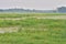 Oxbow lake and the floodplain by the river on a gloomy, cloudy evening. River, Day