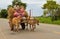 Oxen towing huge load of hay