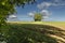 Oxfordshire arable farmland landscape