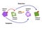 Oxidation and Reduction Redox Reaction