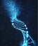 Oxidative DNA Damage Genetic Disorder Molecular Structure