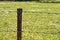 Oxidized field fence at nature in a shiny day