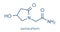 Oxiracetam nootropic drug molecule. Skeletal formula.