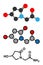 Oxiracetam nootropic drug molecule. Stylized 2D renderings and conventional skeletal formula.