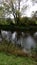 Oxygen, serenity, reflection, autumn, green, landscape, tree, landscape, lake, pond.