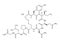 Oxytocin structural formula of molecular structure