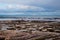 Oyster beds in Cancale, France.