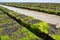 Oyster beds offshore Jersey island, UK