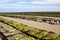 Oyster beds offshore Jersey, UK, at low tide