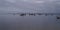 Oyster boat at arcachon cap ferret in winter day morning France